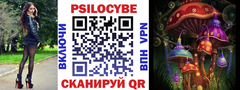 Галлюциногенные грибы Psilocybe  где найти   Инта 